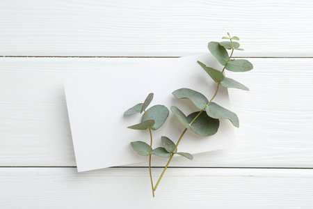 Blank card and eucalyptus branches on white wooden table, top viewの写真素材