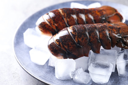 Raw lobster tails with ice on gray table, closeupの写真素材