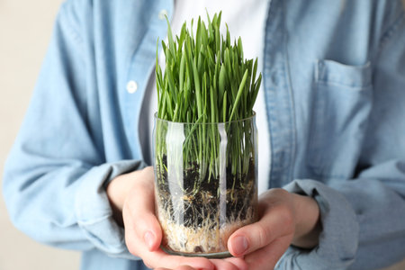 Woman with wheat grass in transparent pot on light background, closeupの写真素材