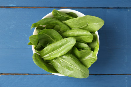 Fresh green sorrel leaves in bowl on blue wooden table, top view