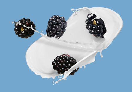 Milk splash and fresh blackberries in air on light blue backgroundの写真素材