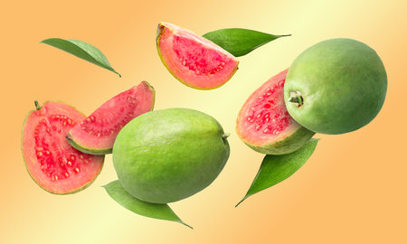 Fresh guava fruits and leaves flying on pale orange background. Banner designの写真素材