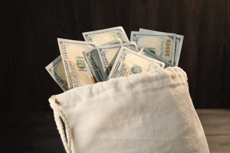 Money bag with dollar banknotes on blurred background, closeup