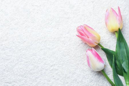 Beautiful tulips on light textured background, top view. Space for textの写真素材