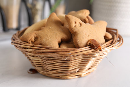Cockroach crawling on cookie in wicker basket on white table, closeupの写真素材
