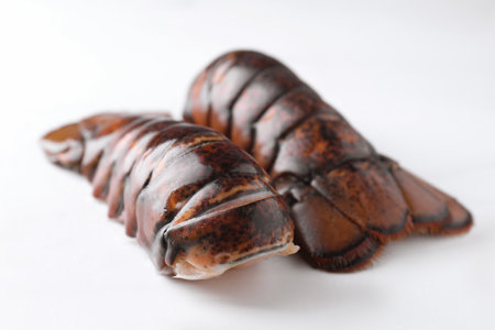 Raw lobster tails on white table, closeupの写真素材