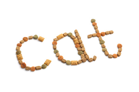 Word Cat made of dry pet food isolated on white, above viewの写真素材