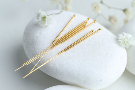 Acupuncture needles, pebble stone and flowers on light table, closeupの写真素材