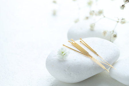 Acupuncture needles, pebble stones and flower bud on white textured table, closeup. Space for textの写真素材