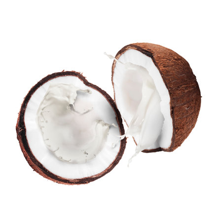 Halves of ripe coconut and splashing milk on white backgroundの写真素材