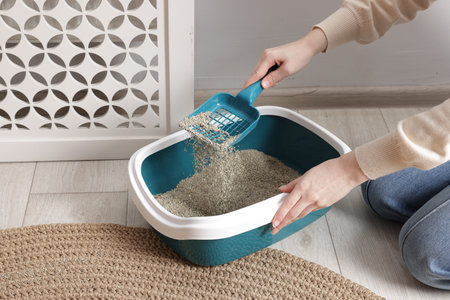 Woman with scoop cleaning cat litter box at home, closeupの写真素材