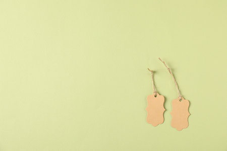 Blank tags with strings on pale green background, flat lay. Space for textの写真素材
