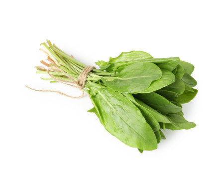 Bunch of fresh green sorrel leaves isolated on white, top viewの写真素材