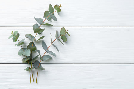 Eucalyptus branches on white wooden table, flat lay. Space for textの写真素材