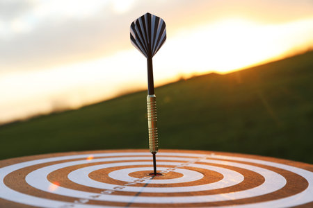 Targeting. Dart board with arrow outdoors, closeup
