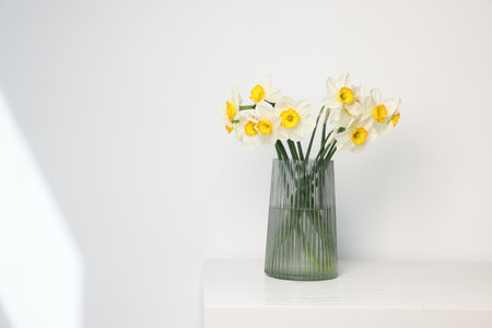 Beautiful daffodils in vase on white wooden table indoors, space for textの写真素材