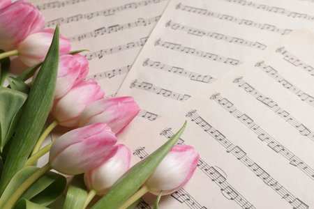Beautiful tulips on sheets with music notes, closeupの写真素材