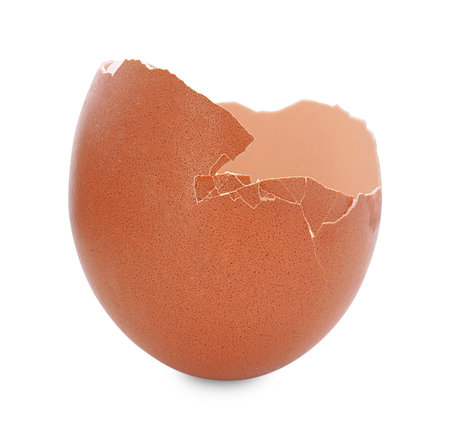 One piece of eggshell isolated on white
