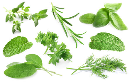 Set of different herbs isolated on whiteの写真素材