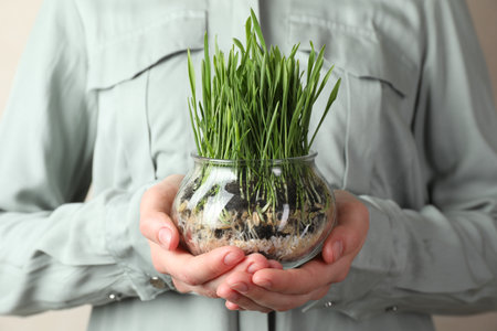Woman with wheat grass in transparent pot on light background, closeupの写真素材