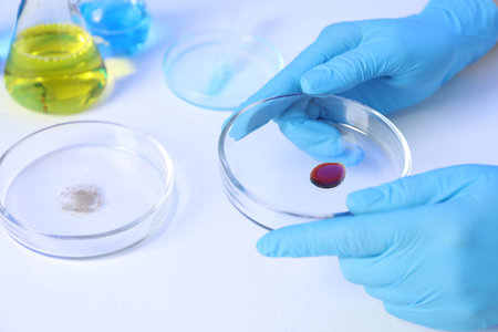 Scientist holding Petri dishes on white background, closeup