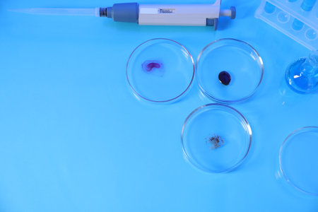 Petri dishes with samples, test tubes, micropipette and flask on light blue background, flat lay. Space for textの写真素材