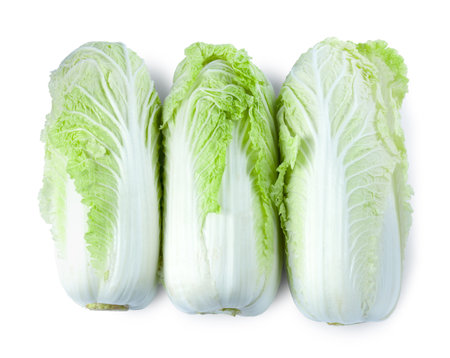 Three fresh Chinese cabbages isolated on white, top viewの写真素材
