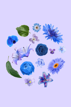 Beautiful flowers in blue and purple shades flying on lilac color backgroundの写真素材