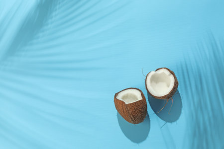 Fresh coconut and shadow cast by tropical palm on light blue background, top view. Space for textの写真素材