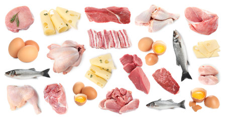 Meat, fish, eggs and cheese. Different fresh products on white background, collageの写真素材