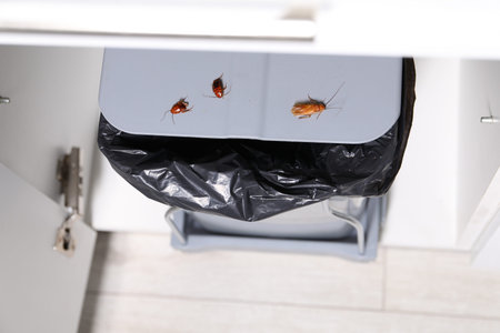 Cockroaches crawling on garbage bin indoors, above view