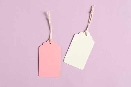 Blank tags with strings on pale violet background, flat layの写真素材