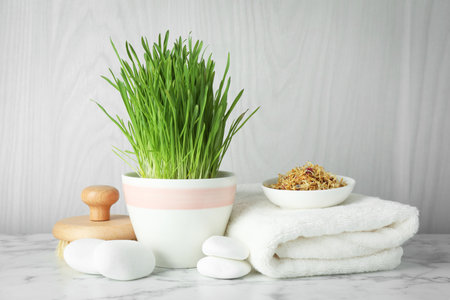 Spa composition with wheatgrass on white marble tableの写真素材