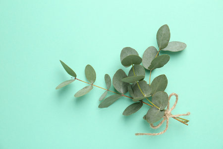 Beautiful eucalyptus branches on turquoise background, top viewの写真素材