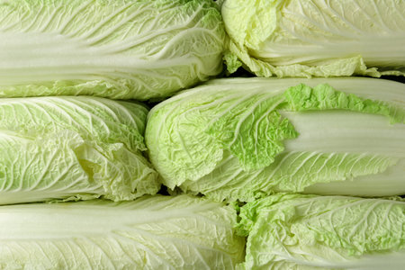 Fresh Chinese cabbages as background, top viewの写真素材