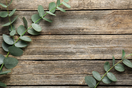 Beautiful eucalyptus branches on wooden background, flat lay. Space for textの写真素材