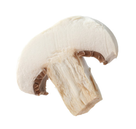 One piece of fresh mushroom isolated on whiteの写真素材