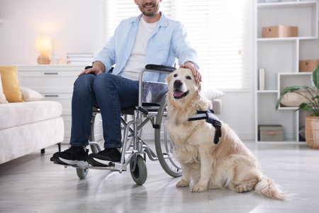 Man in wheelchair with his service dog at home, closeup