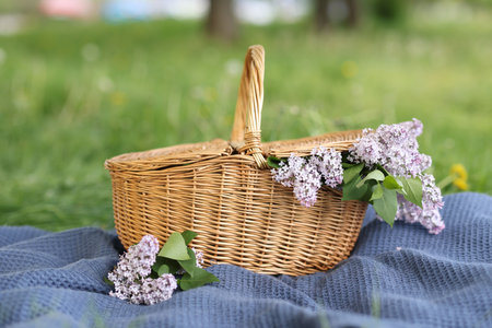 Wicker basket with lilac flowers and blanket on green grass outdoors