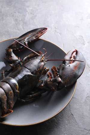 One raw lobster on grey table, closeupの写真素材