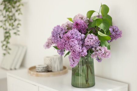Beautiful lilac flowers in vase and other decor on cabinet indoors, space for textの写真素材