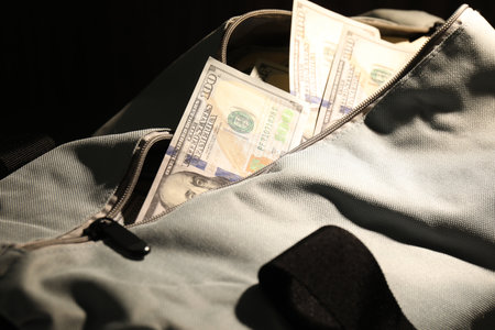 Bag with dollar banknotes on black background, closeupの写真素材