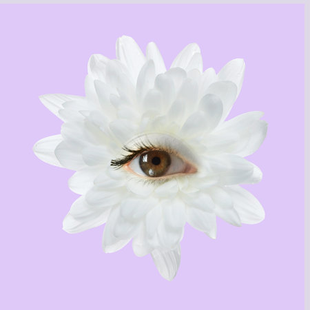 White flower with eye inside on light violet background. Creative collageの写真素材