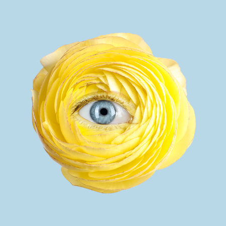 Yellow ranunculus flower with eye inside on color background. Creative collage