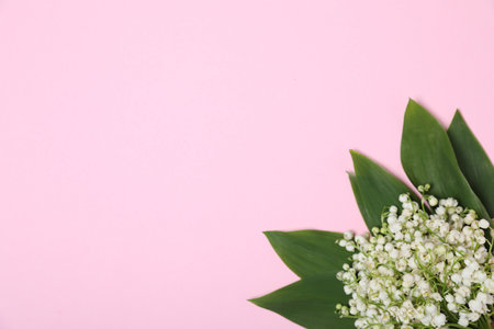 Beautiful lily-of-the-valley flowers on light pink background, top view. Space for textの写真素材
