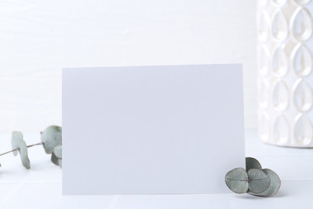Blank greeting card and eucalyptus leaves on white background, closeupの写真素材