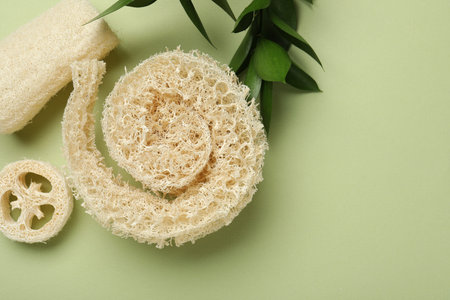 Natural loofah sponges and leaves on green background, flat lay. Space for text