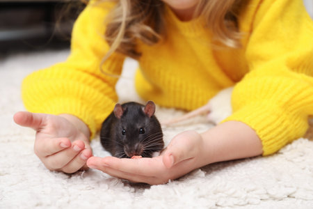 Little girl with cute black rat at home, closeupの写真素材