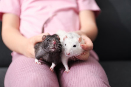 Little girl with cute rats on sofa at home, closeupの写真素材