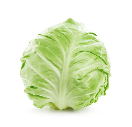 One whole fresh cabbage isolated on whiteの写真素材